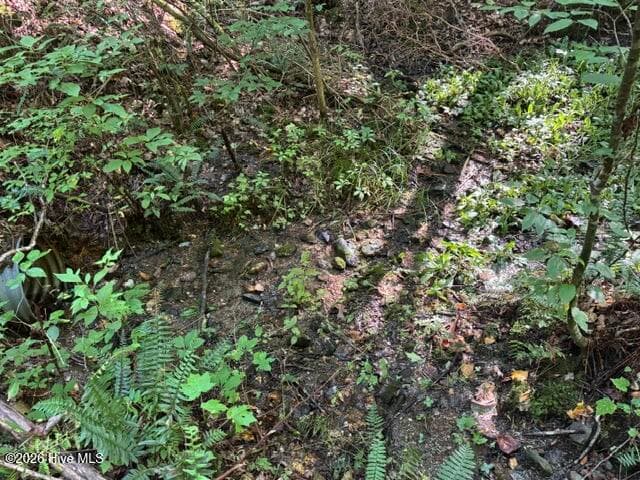 Residential Lot at 5 Tyler Lane, Marble, NC 28905, photo 16 of 28