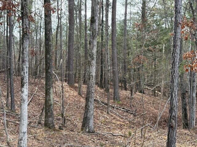 Residential Lot at 14-33 Kristen Lane, McCormick, SC 29835, photo 5 of 5