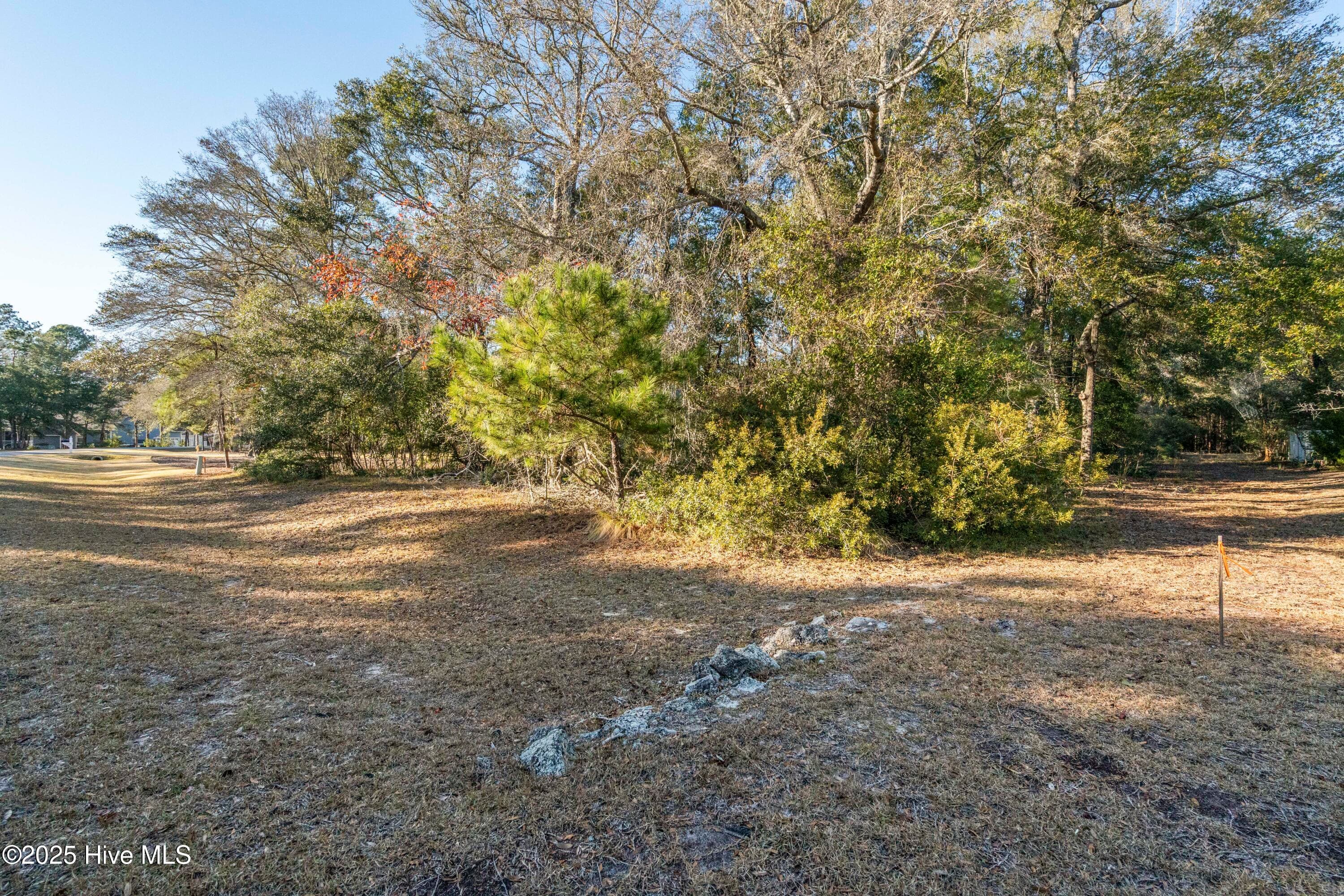 Residential Lot at 1984 293R Redfish Run SW, Supply, NC 28462, photo 11 of 34