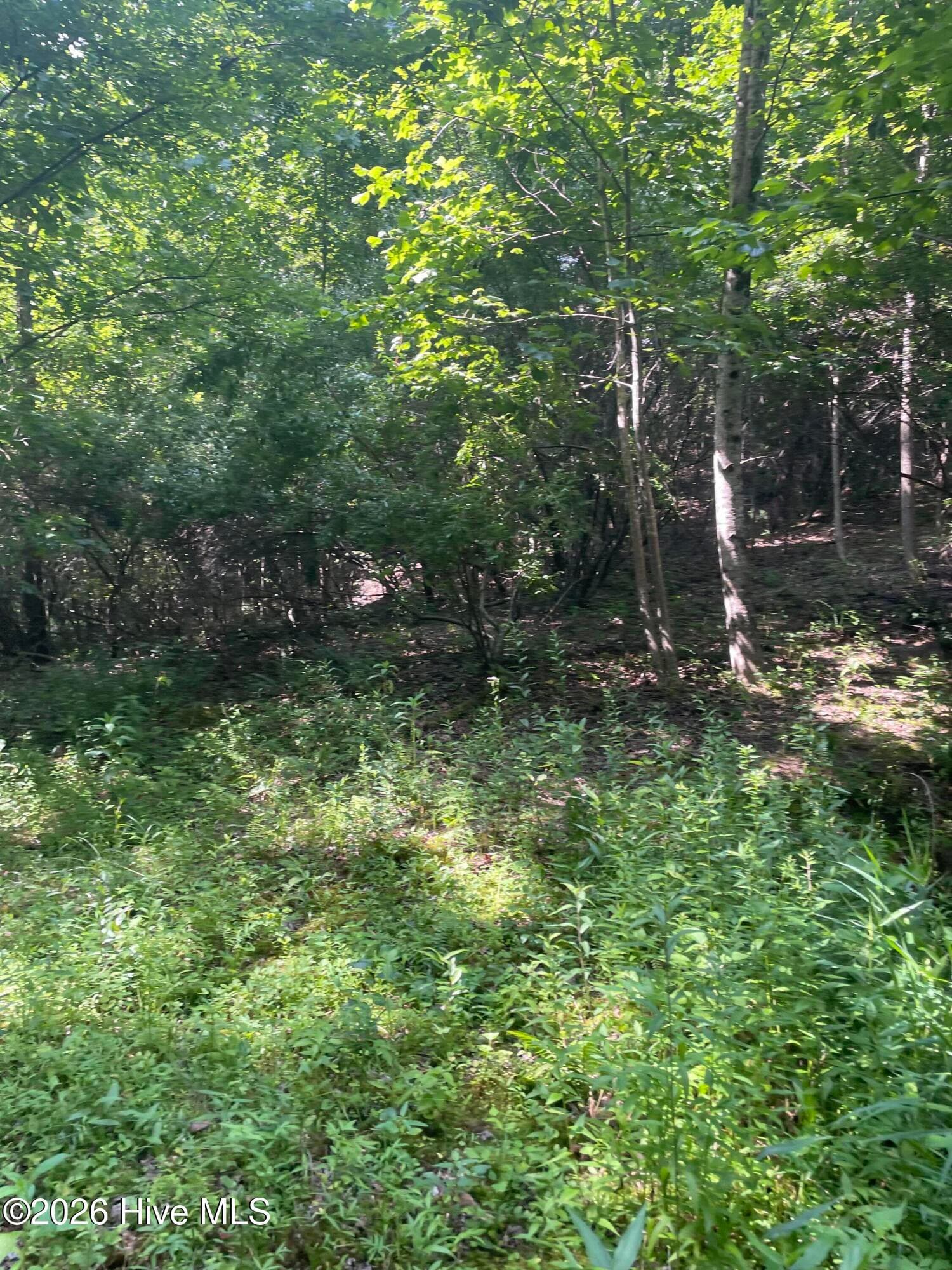 Residential Lot at 6 15-H Hidden Lakes Road, Topton, NC 28781, photo 4 of 6