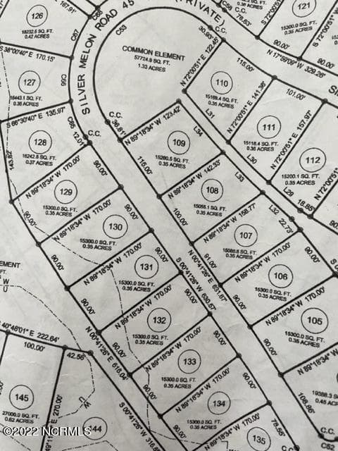 3812 131 Silver Melon Road NE, Leland, NC 28451