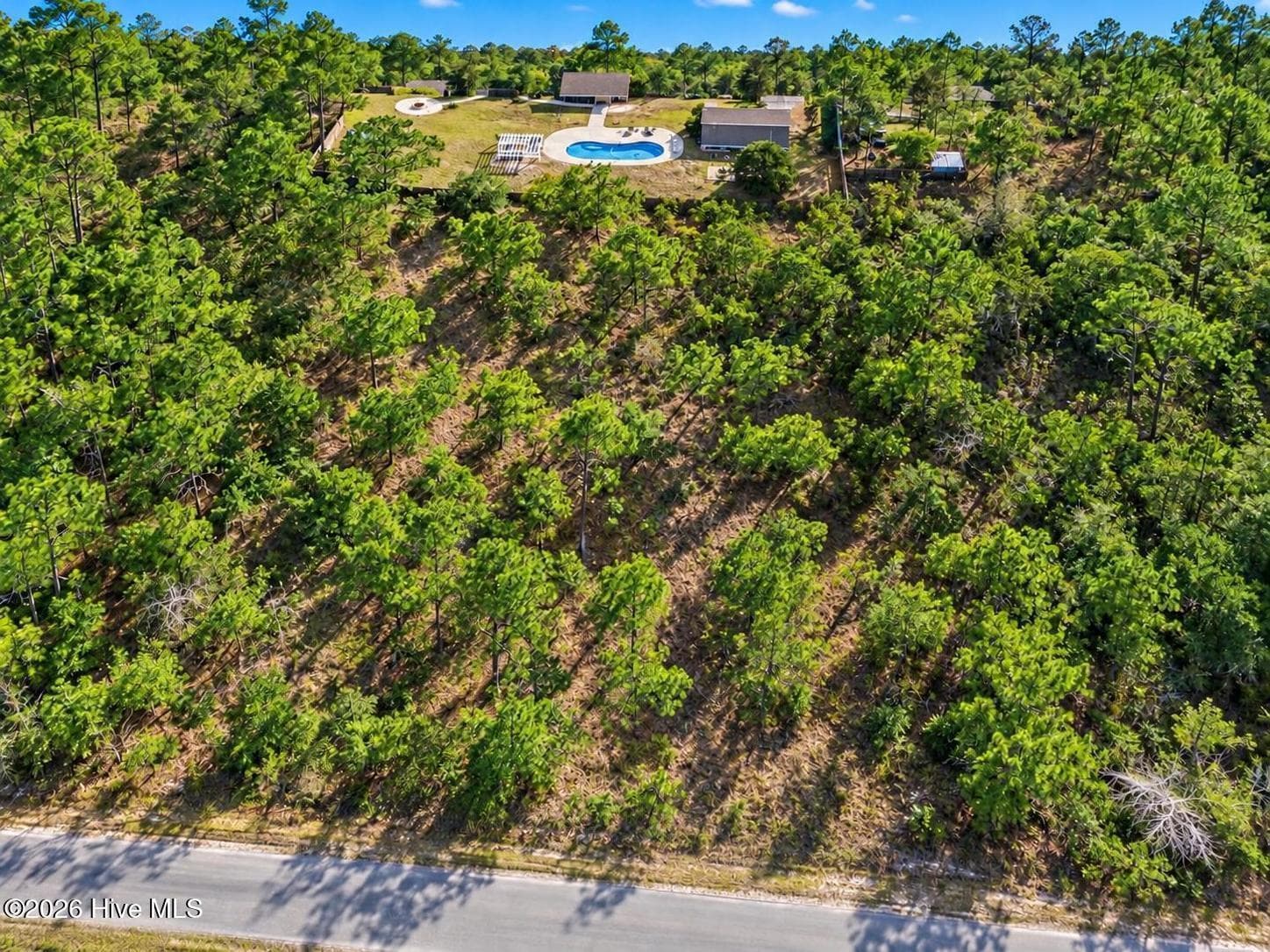 Residential Lot at 0 Catawba Road, Boiling Spring Lakes, NC 28461, photo 2 of 27