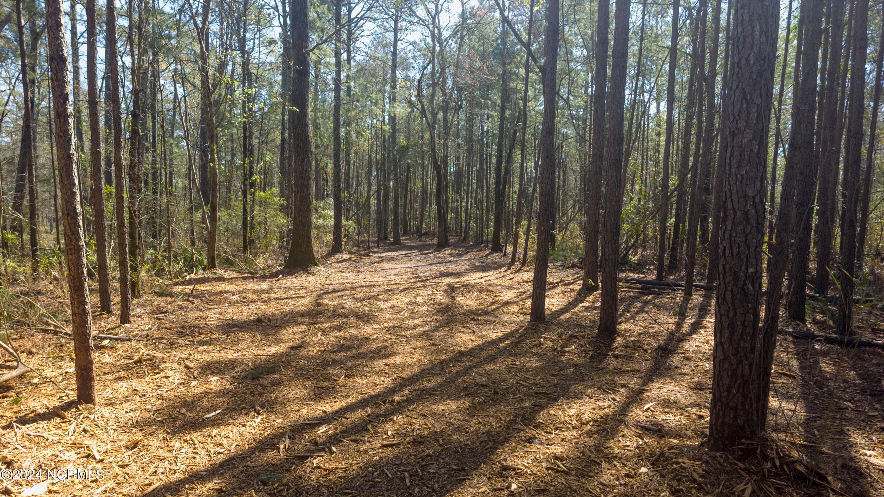 Residential Land at 15 Alexander Drive, Belhaven, NC 27810, photo 7 of 15