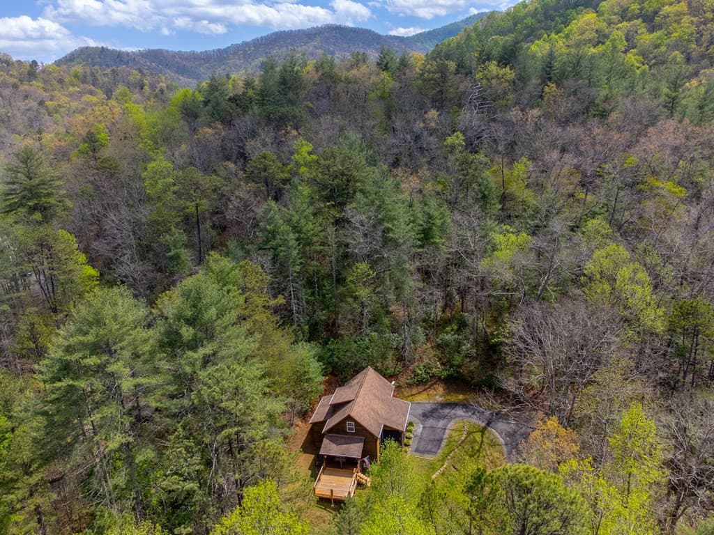 Single Family Residence at 138 Hubbell Lane, Robbinsville, NC 28771, photo 58 of 63