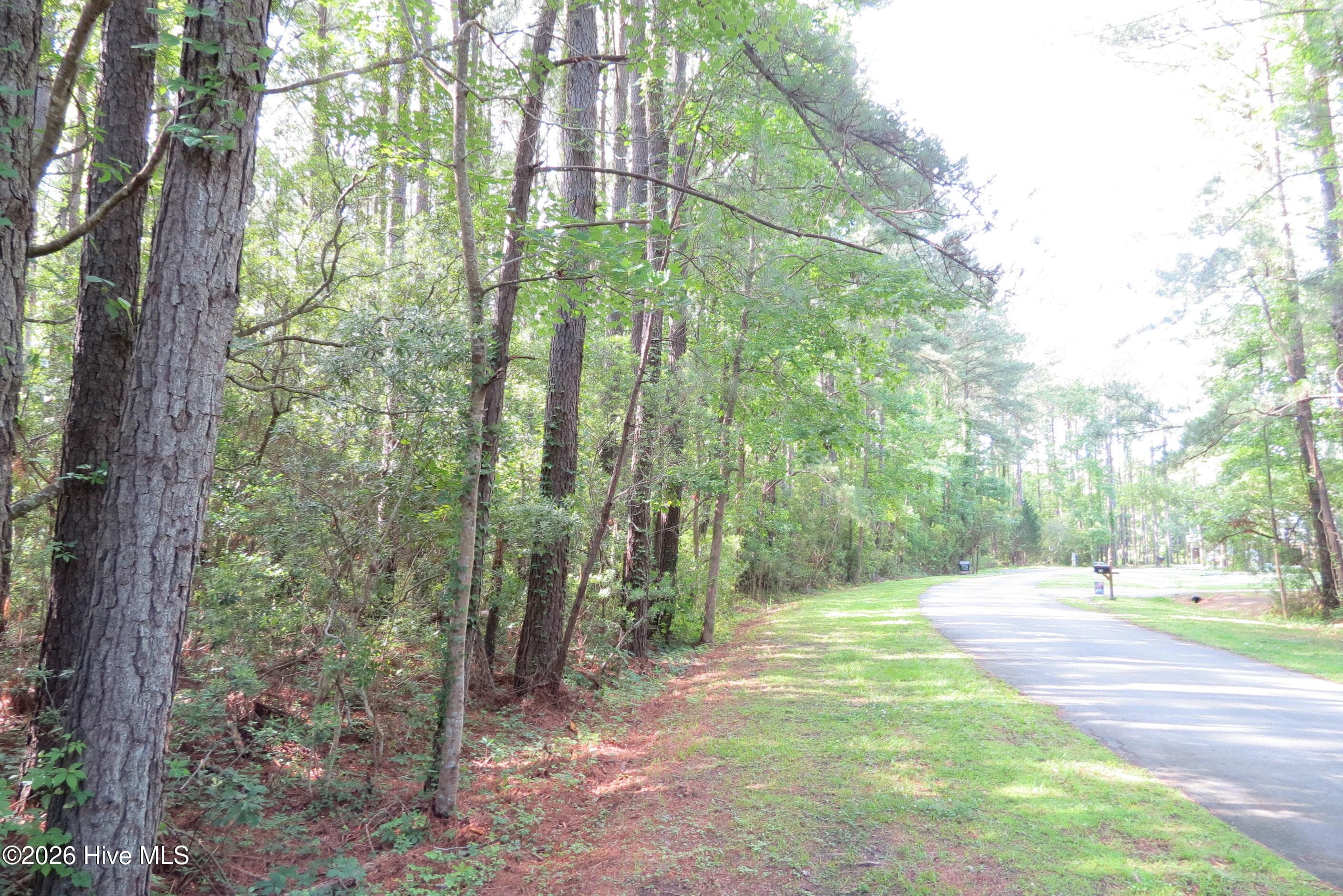 Residential Lot at 0 24 Teal Road, Merritt, NC 28556, photo 4 of 14