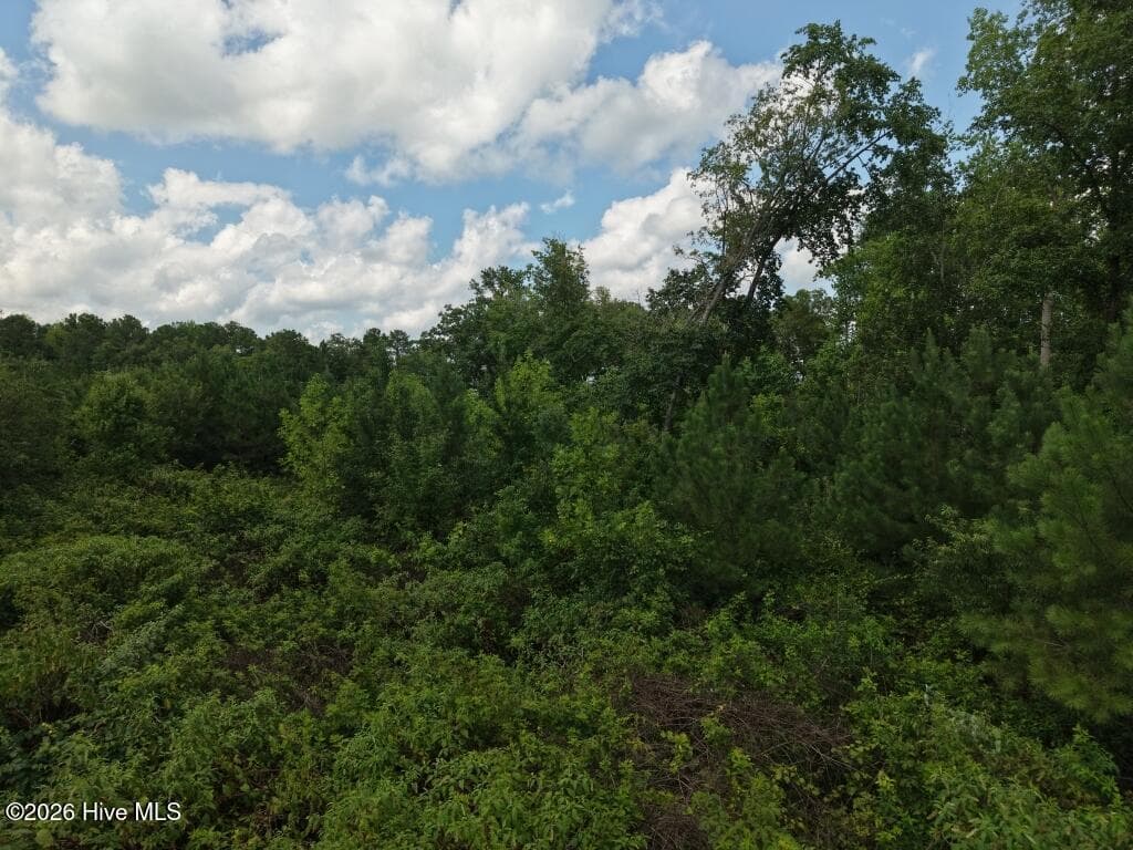 Residential Lot at 1581 Doubs Chapel Road, West End, NC 27376, photo 7 of 10