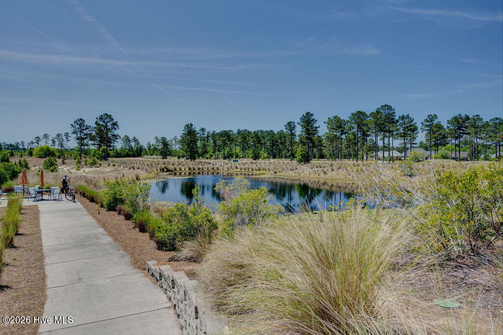 Single Family Residence at 9170 Crossbill Drive, Leland, NC 28451, photo 60 of 73