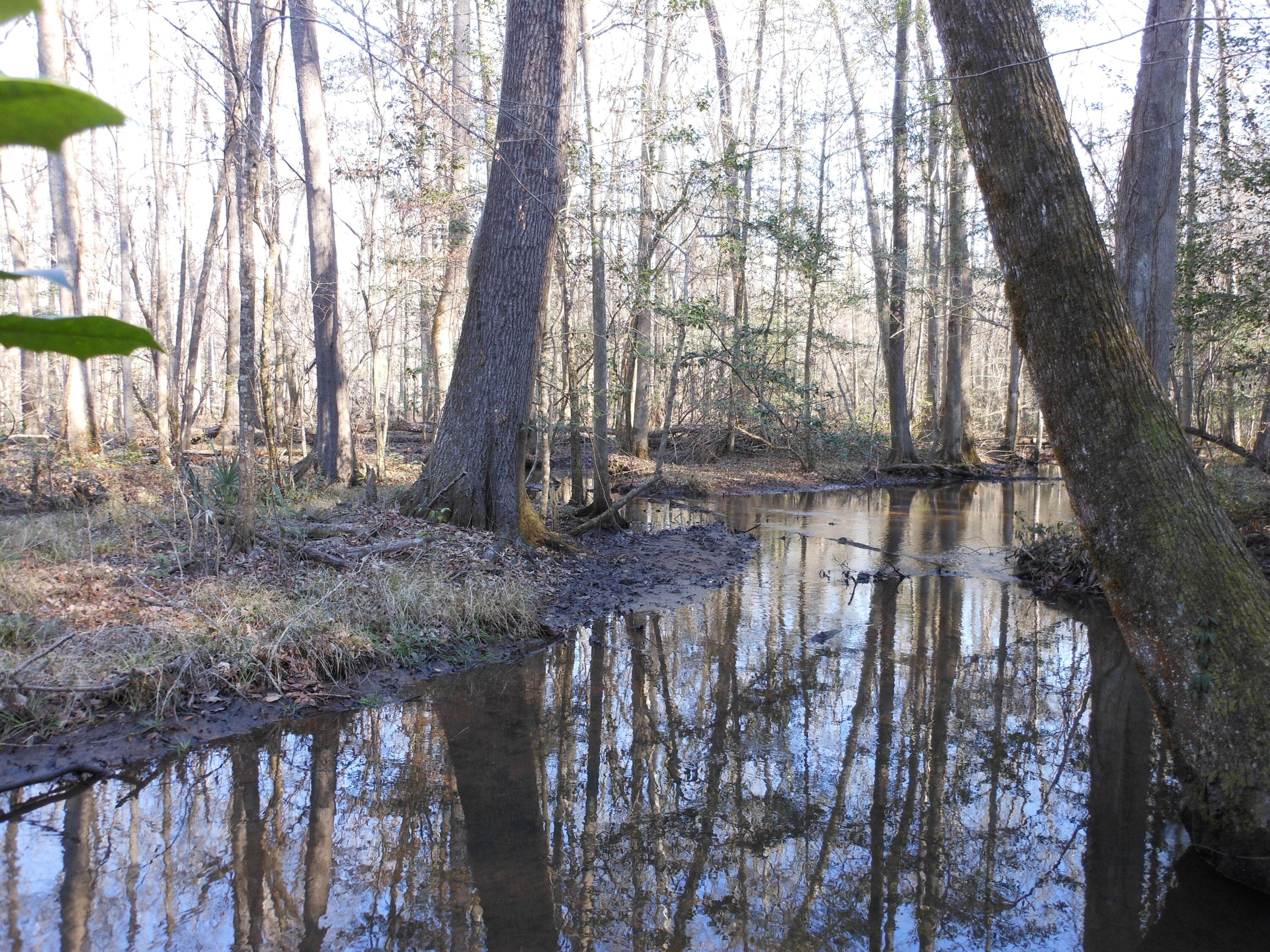 Undeveloped at 0 Ponderosa Road, Waynesboro, GA 30830, photo 29 of 45