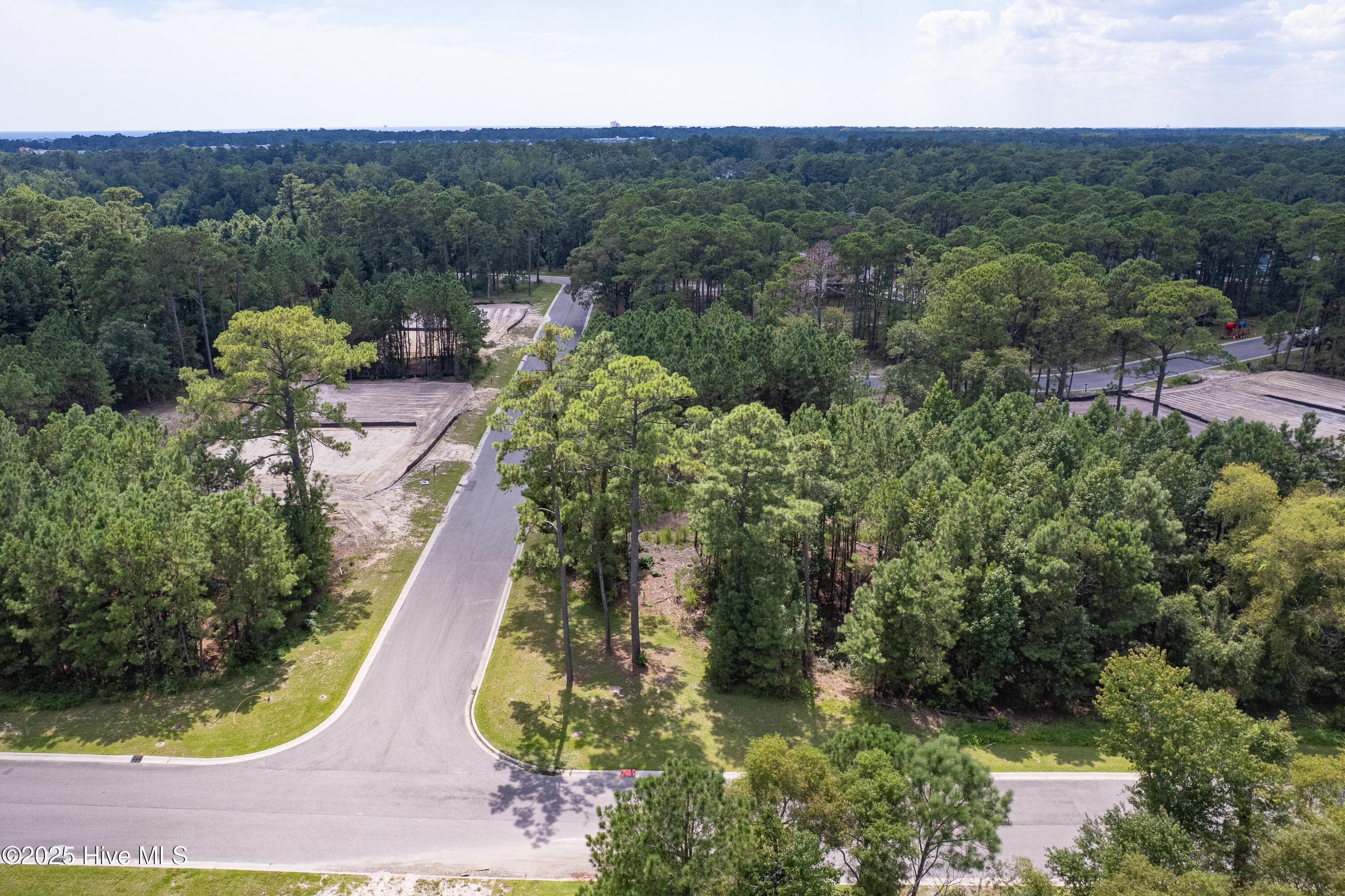 Wooded at 1559 125 N Bimini Road, Shallotte, NC 28470, Shallotte, photo 4 of 16