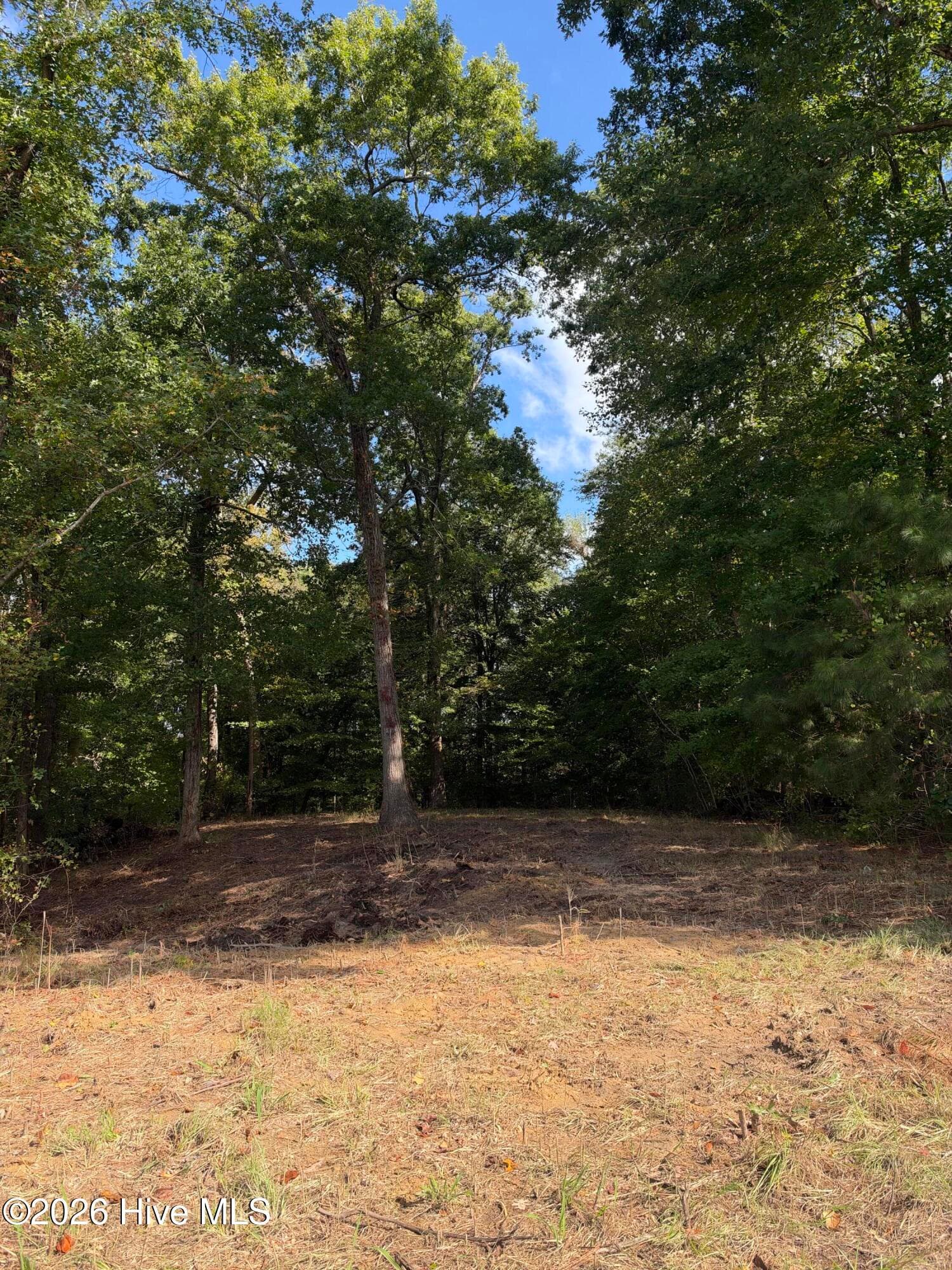 Residential Lot at 21 21 Hannah Drive, Chocowinity, NC 27817, photo 3 of 8