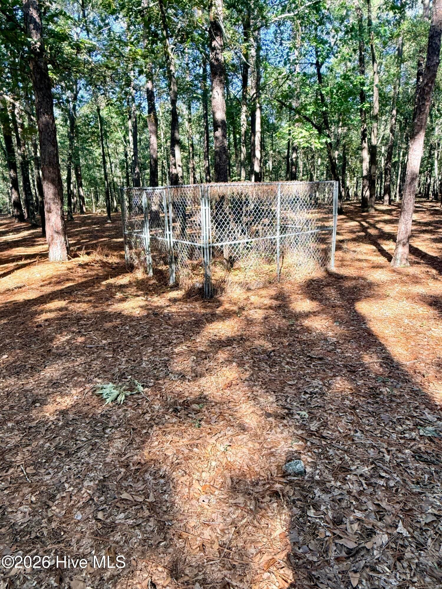 a couple of fenced areas for animals - 12681 Blues Farm Road, Laurinburg, NC 28352