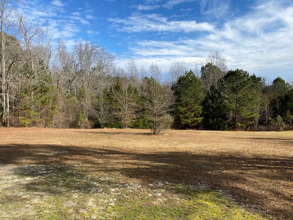 Undeveloped at 6384 Cobbham Road, Appling, GA 30802, photo 3 of 4