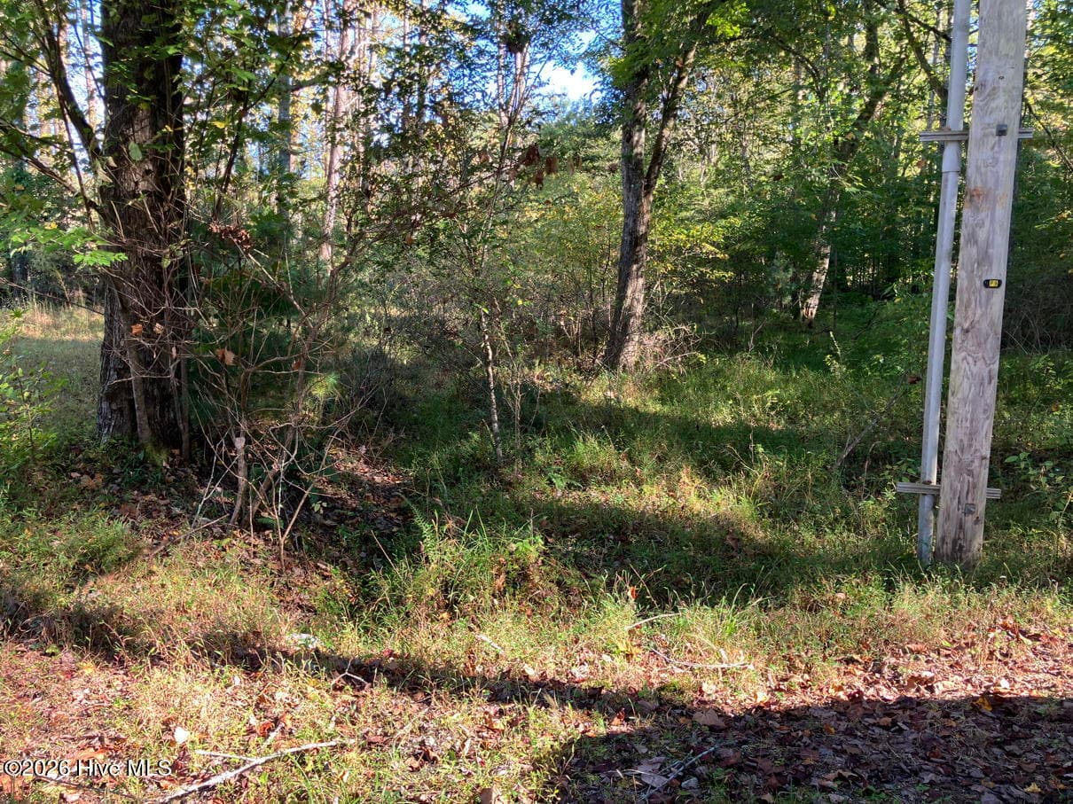 Residential Lot at 6 6 Rushing Water Trail, Hayesville, NC 28904, Hayesville, photo 3 of 14