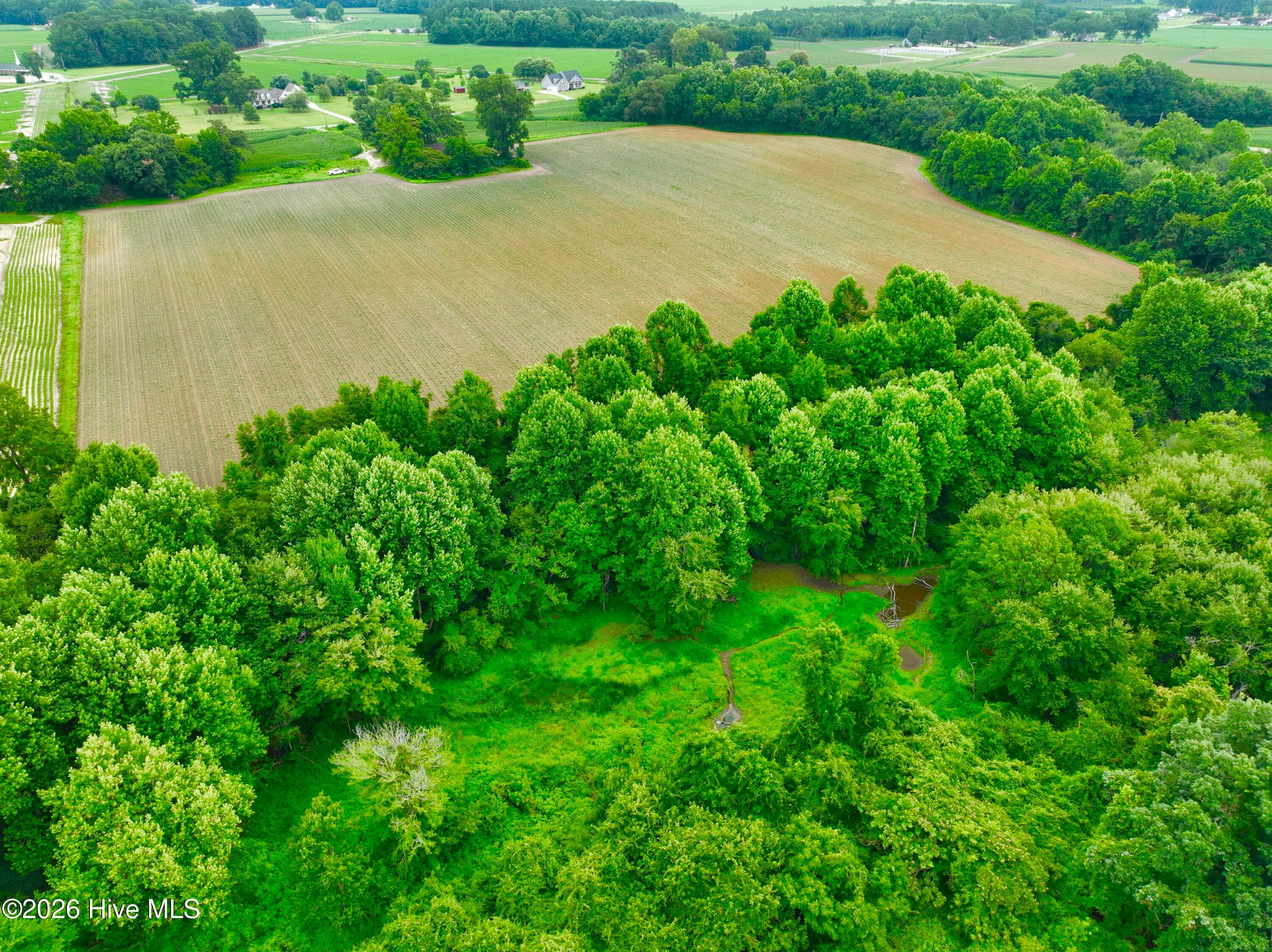 Farm at 478 Davis Mill Road, Fremont, NC 27830, photo 13 of 21