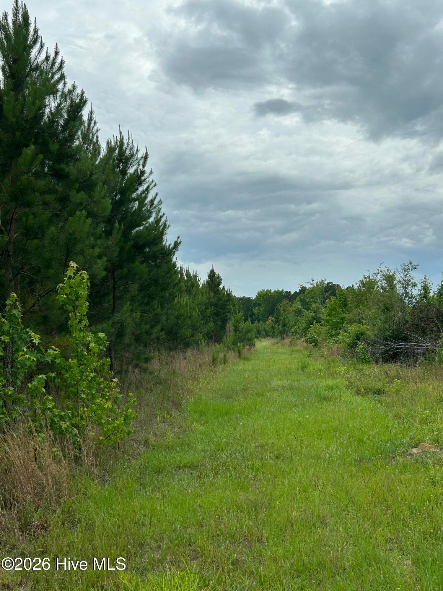 Undeveloped at 0 Pughsley Road, Stapleton, GA 30823, photo 5 of 13