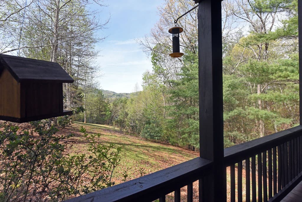 Single Family Residence at 160 Serenity Pointe Drive, Murphy, NC 28906, photo 9 of 48