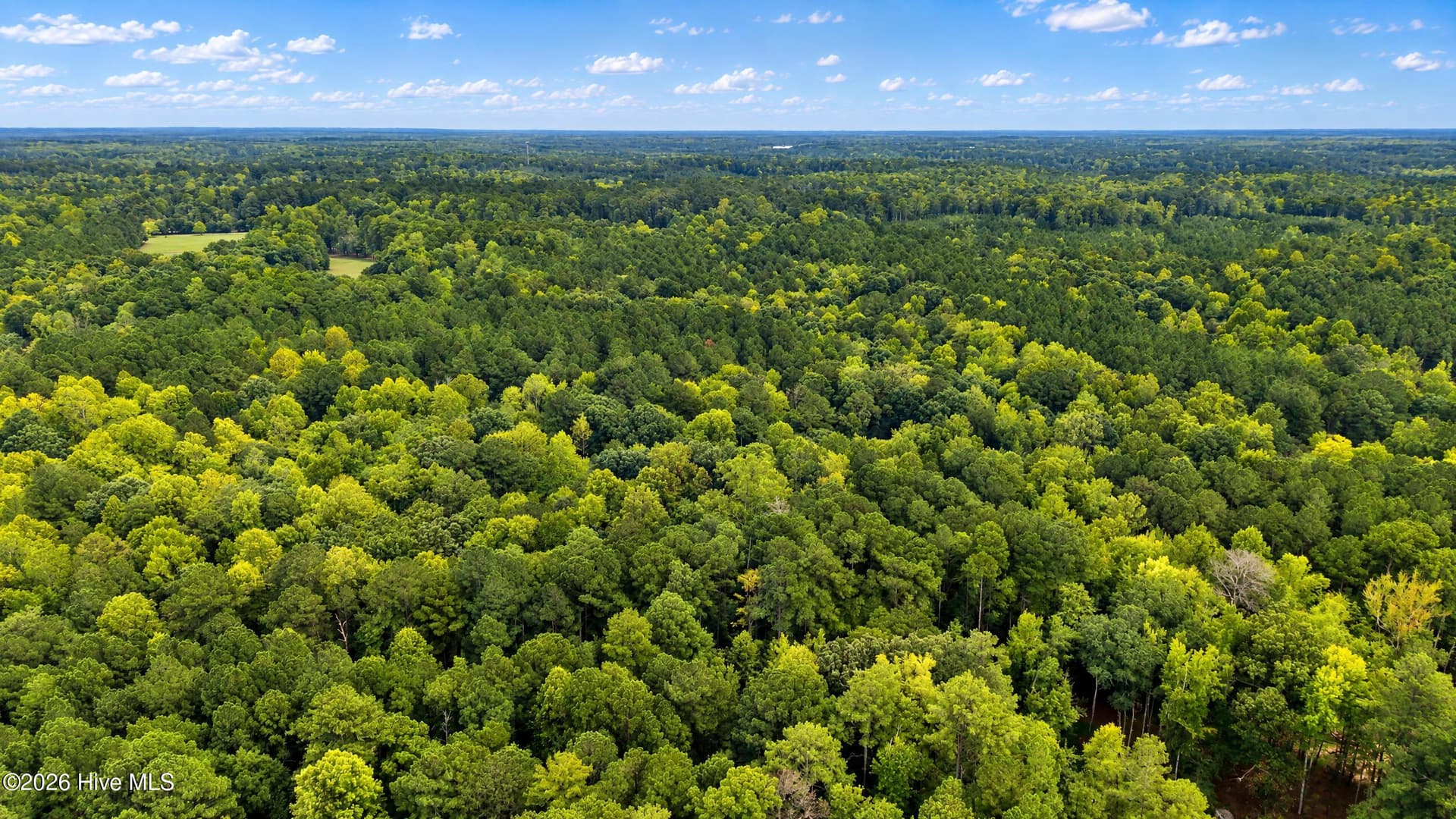 Undeveloped at Off 5 J B Morgan Road, Apex, NC 27502, photo 10 of 21