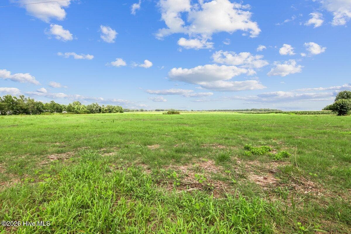 Residential Lot at Lot 1 Waller Road, Mount Olive, NC 28365, photo 14 of 16