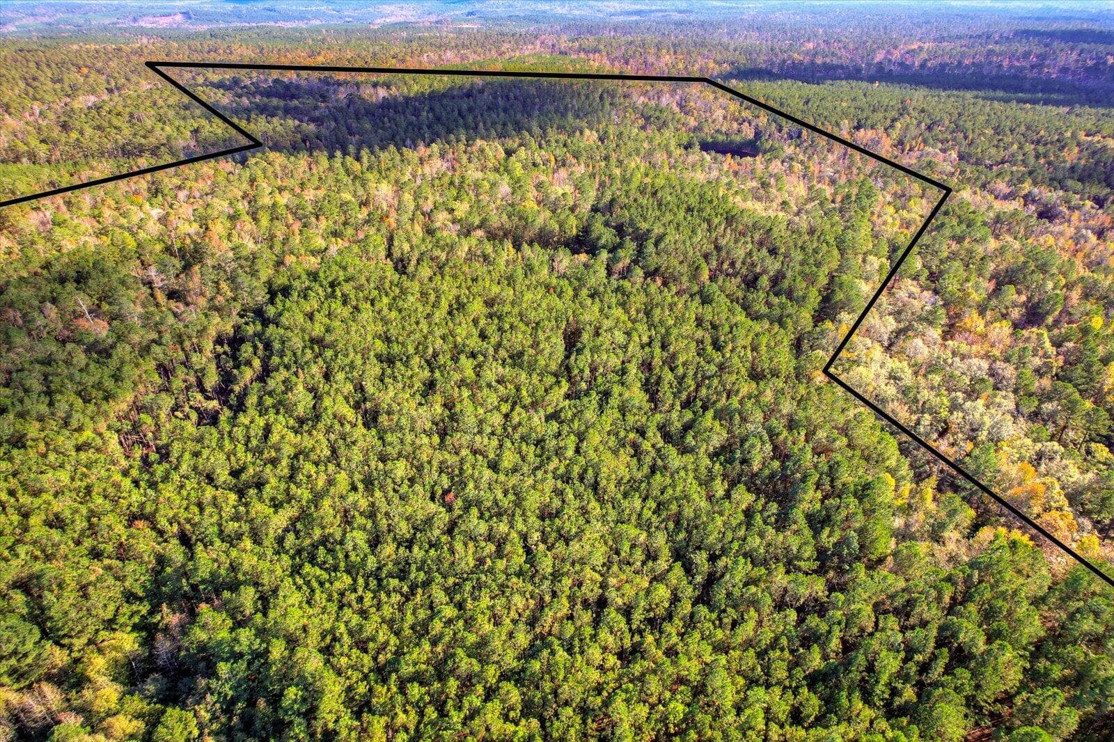 Undeveloped at Tbd2 Sc-23, Edgefield, SC 29824, photo 21 of 41