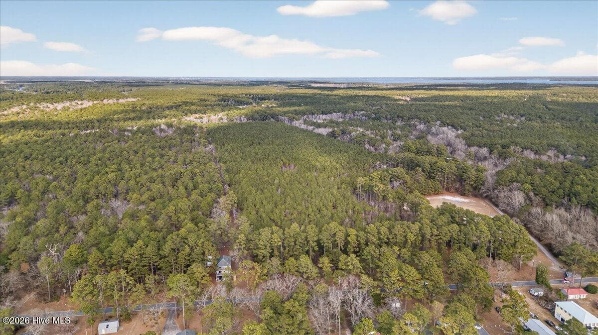Wooded at 2162 Old Pamlico Beach Road W, Belhaven, NC 27810, photo 17 of 25