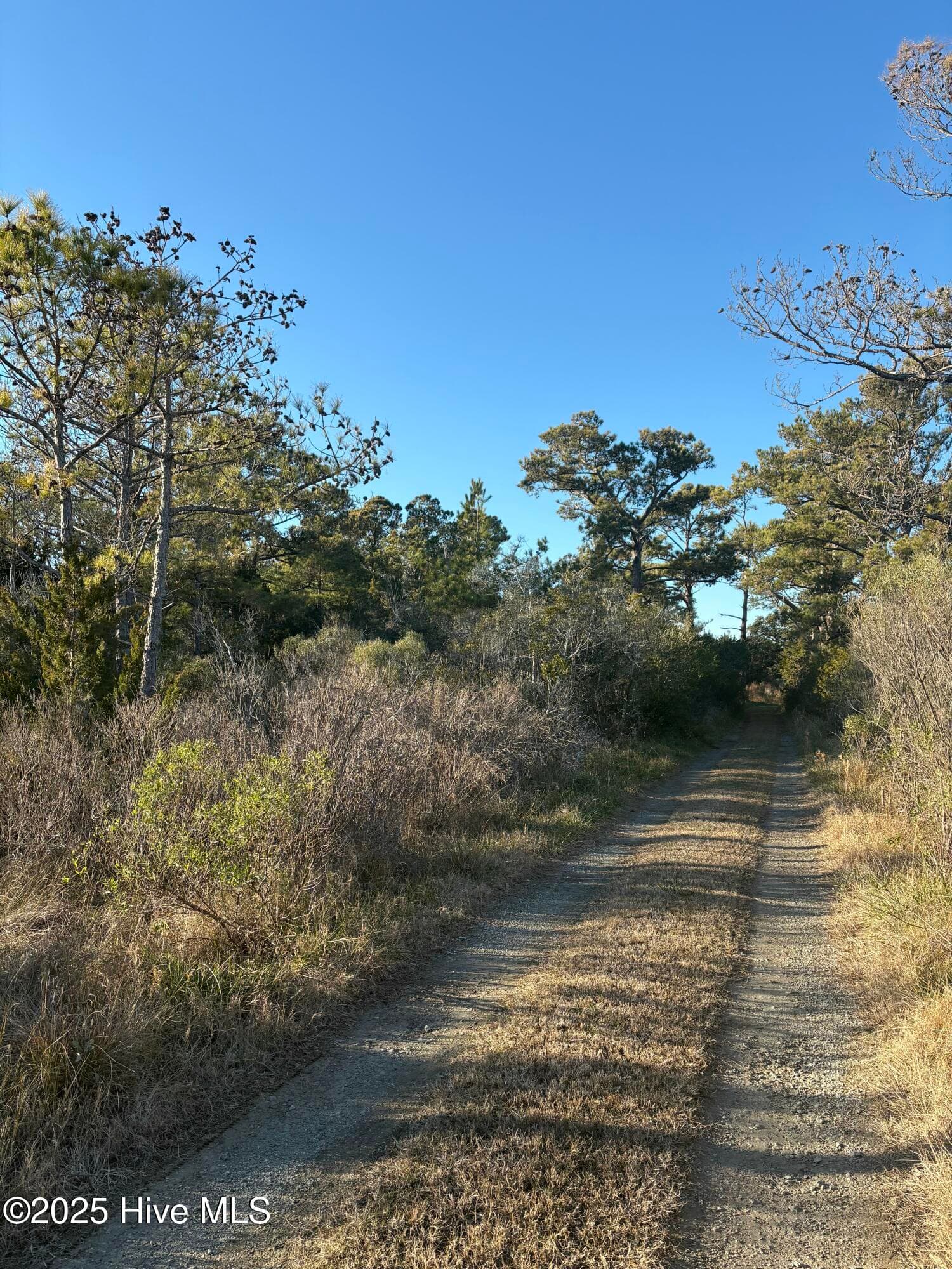 Residential Lot at 196 Styron Creek Road, Sea Level, NC 28577, photo 2 of 2
