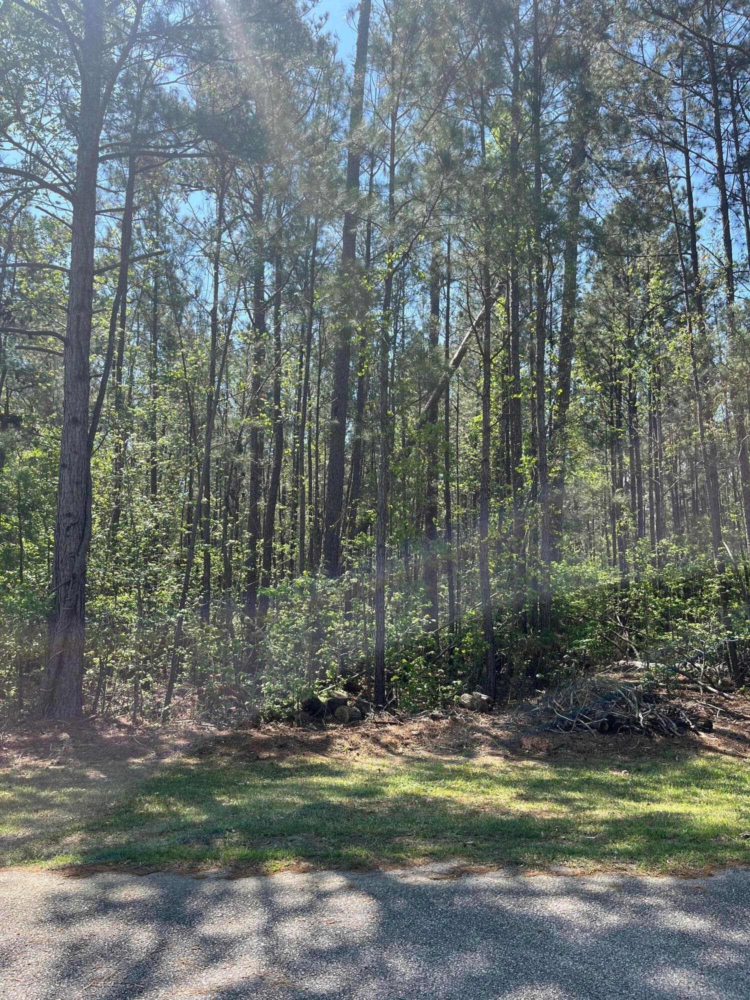 Undeveloped at L14 B39 Antioch Drive, McCormick, SC 29835, photo 3 of 8
