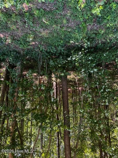 Undeveloped at Lot 1 Dan Road, Robbins, NC 27325, photo 5 of 22