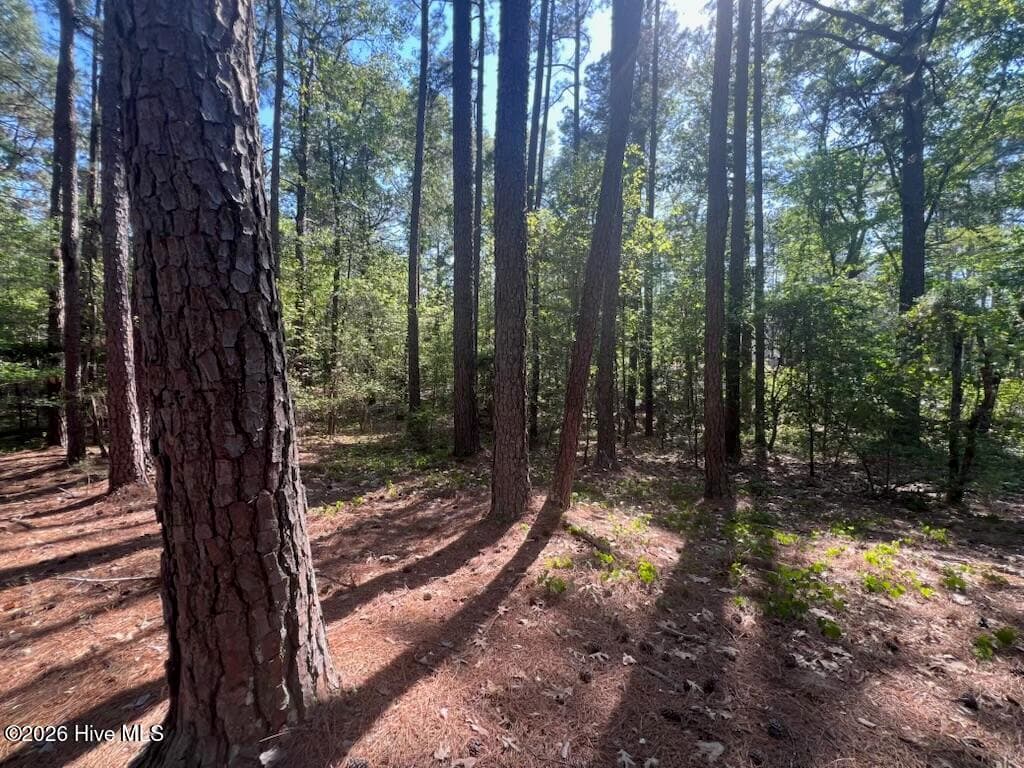 1551 1 Linden Road, Aberdeen, NC 28315