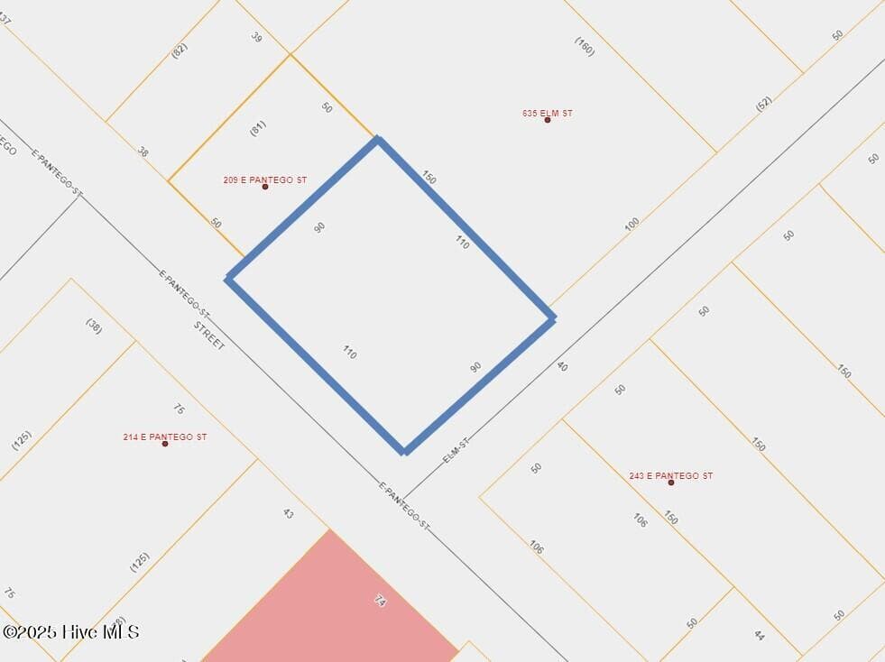 Lot 1 Pantego Street, Belhaven, NC 27810