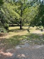 Residential Lot at Lot A Old Whiskey Road, New Ellenton, SC 29809, photo 3 of 3