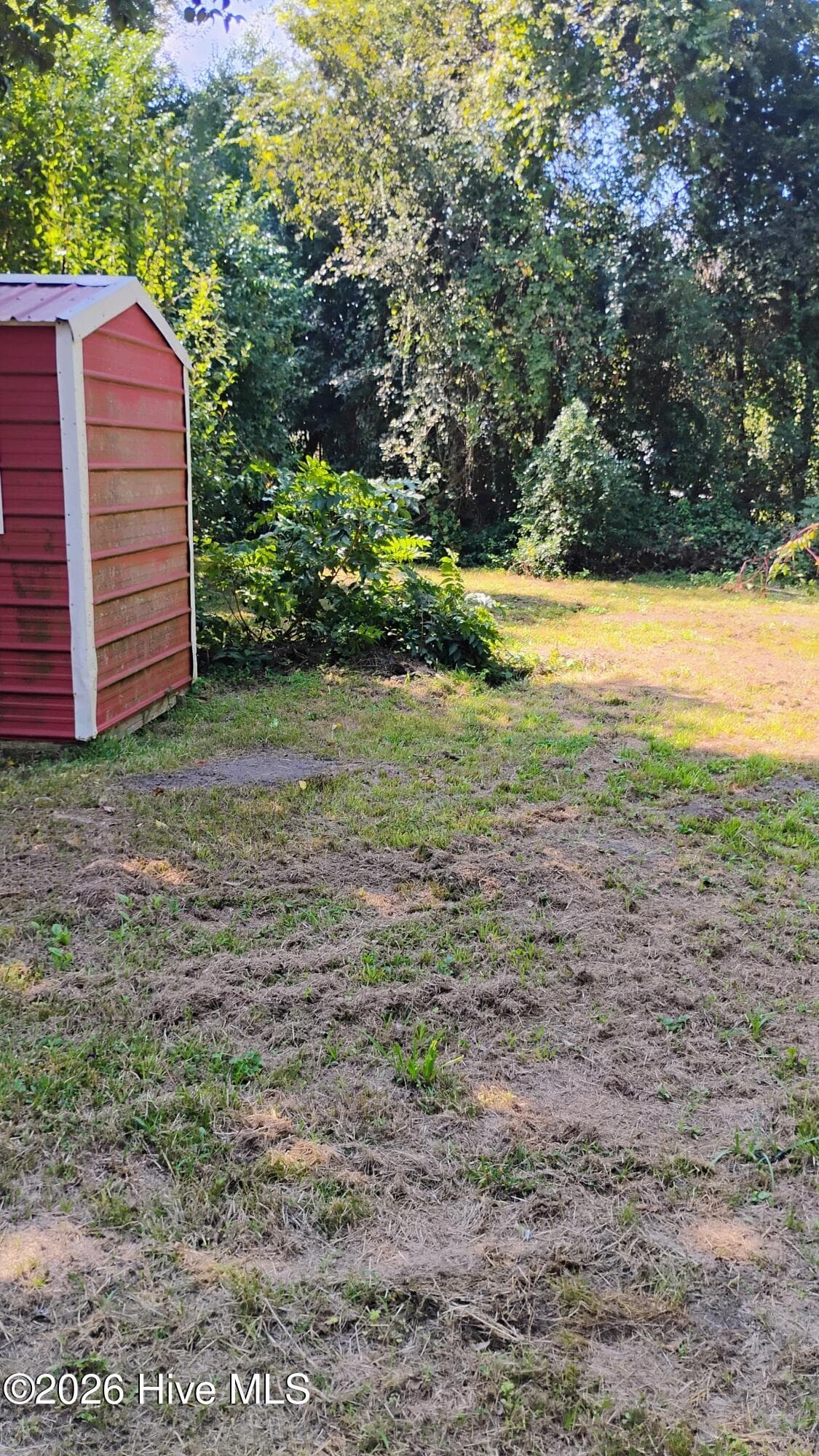 Large backyard with storage shed - 264 Japonica Avenue, Augusta, GA 30901