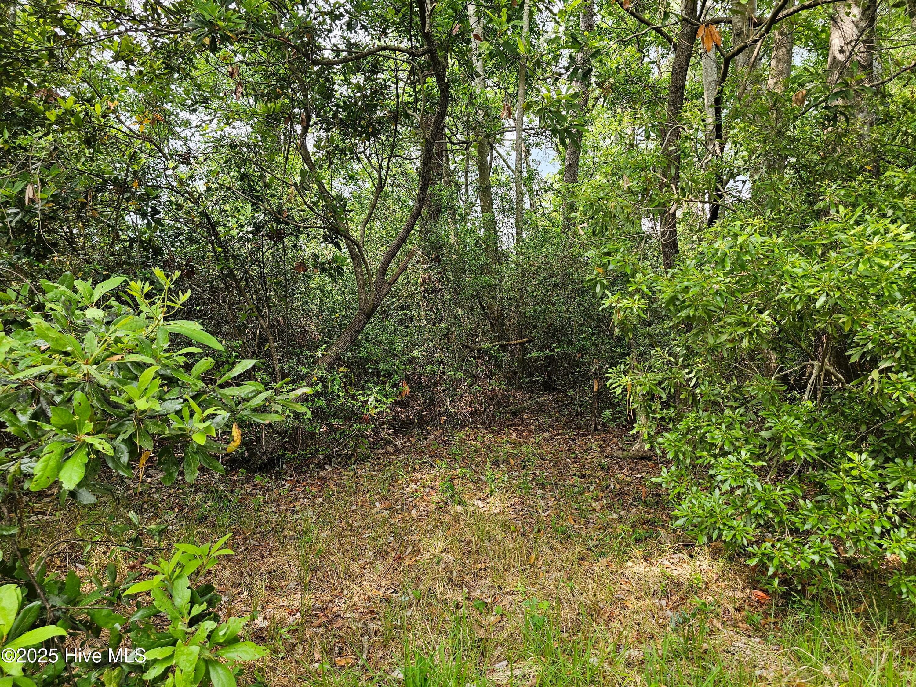 Residential Land at 1203 34 Petite Terre Court, New Bern, NC 28560, photo 3 of 7