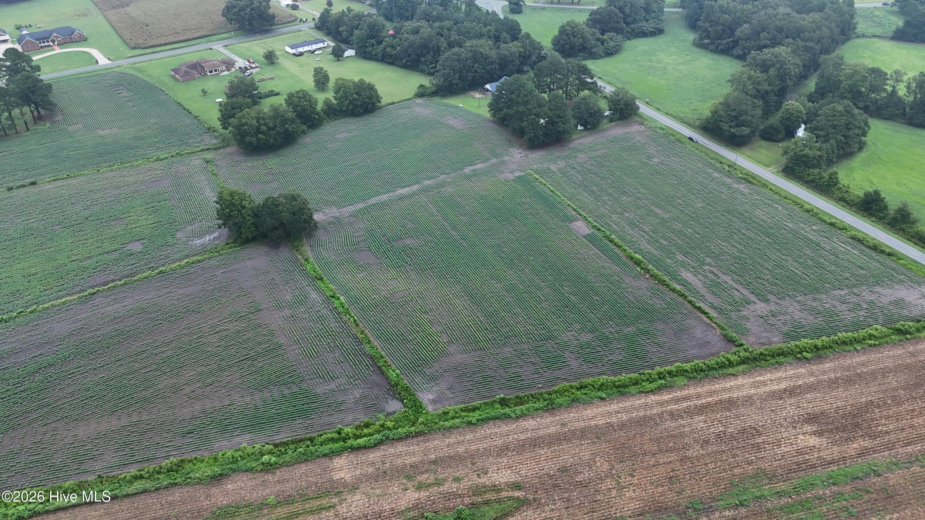 Agriculture at Near 128 Bay Rd., Rose Hill, NC 28458, photo 9 of 21