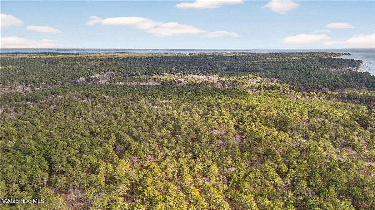 Wooded at 2162 Old Pamlico Beach Road W, Belhaven, NC 27810, photo 19 of 25
