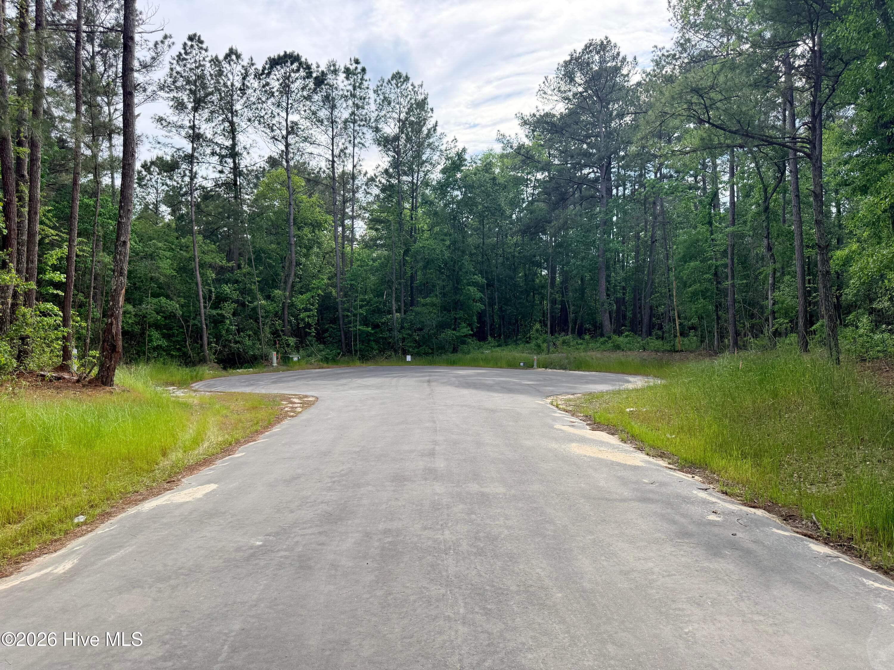Residential Lot at Lot 4 Peach Court, Burgaw, NC 28425, photo 6 of 8