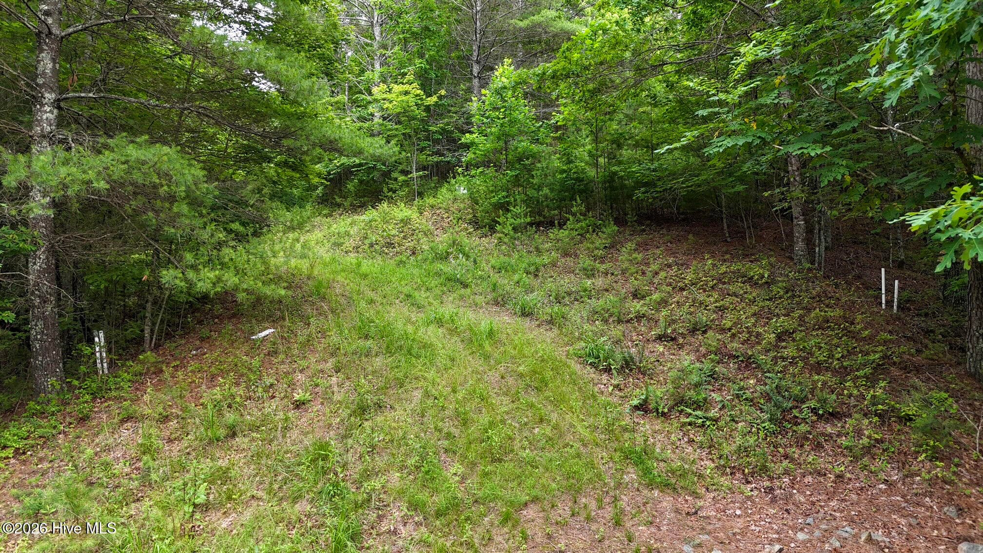 00 Choctaw Ridge Trail, Murphy, NC 28906