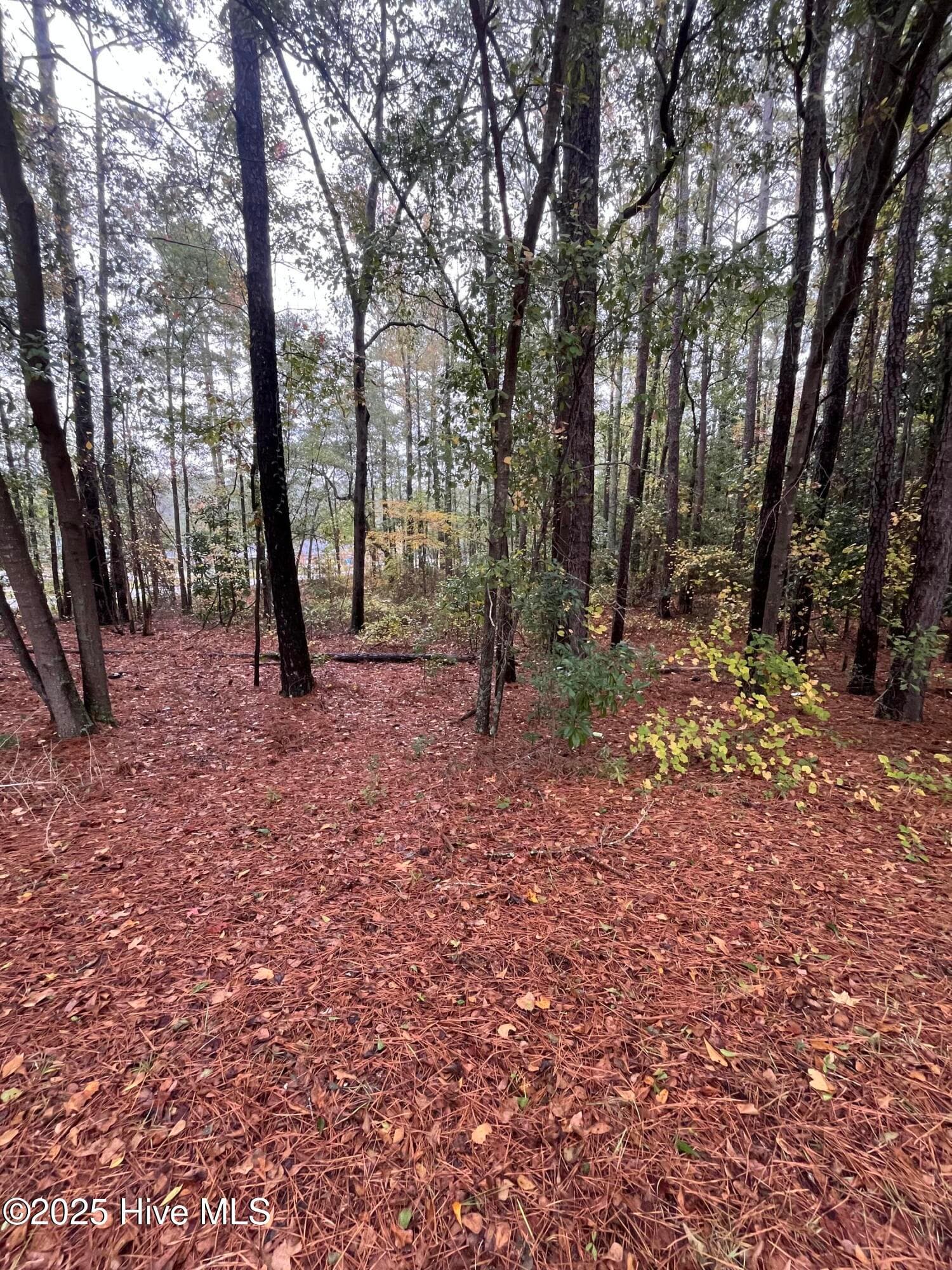 Unimproved Land at 124 Medical Circle, Rockingham, NC 28379, photo 3 of 8