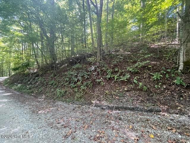 Residential Lot at 00 Rocky Branch Overlook, Topton, NC 28781, photo 4 of 7