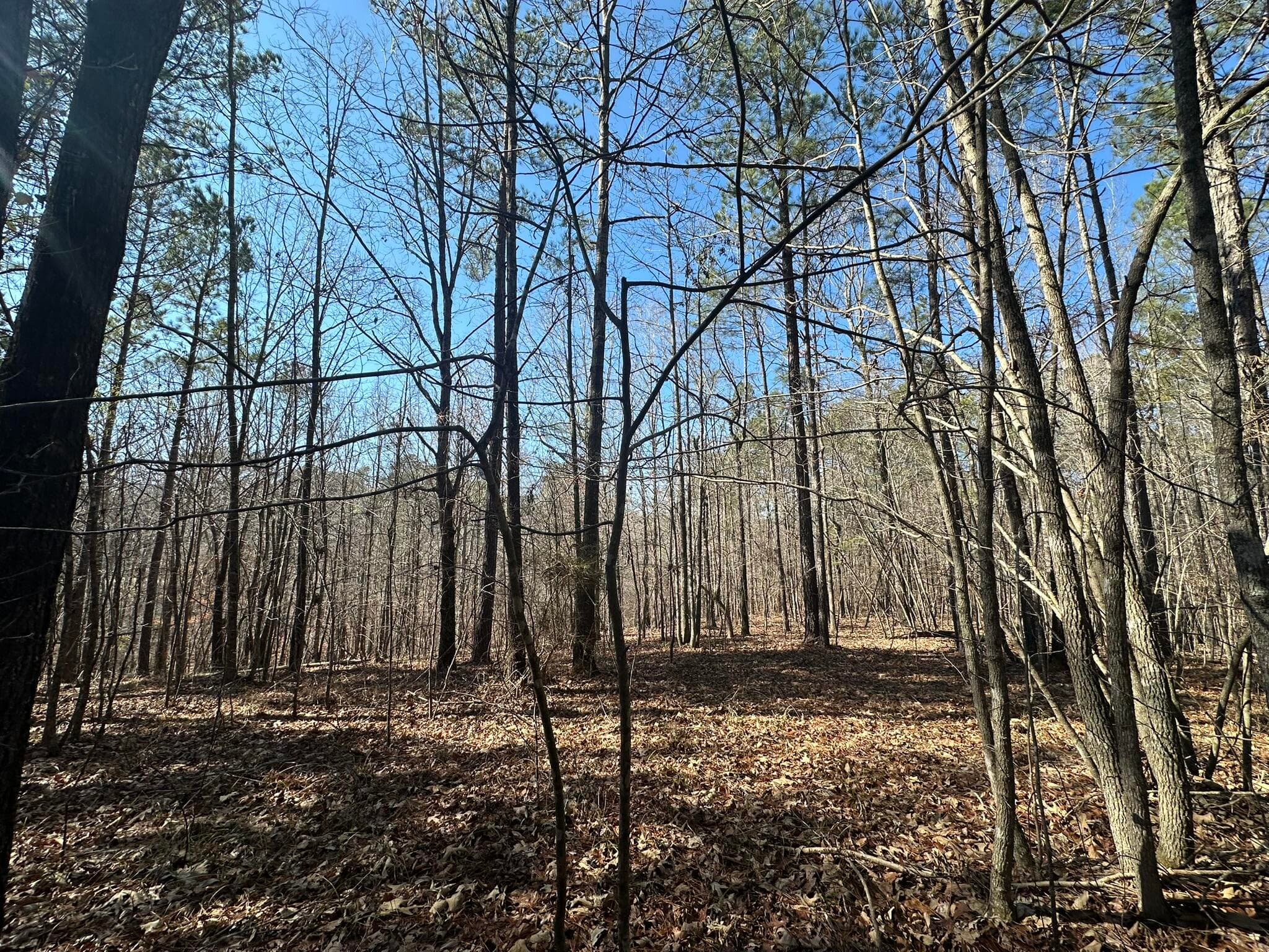 Residential Lot at Lot 31 31 Willow Way, Lincolnton, GA 30817, photo 6 of 24