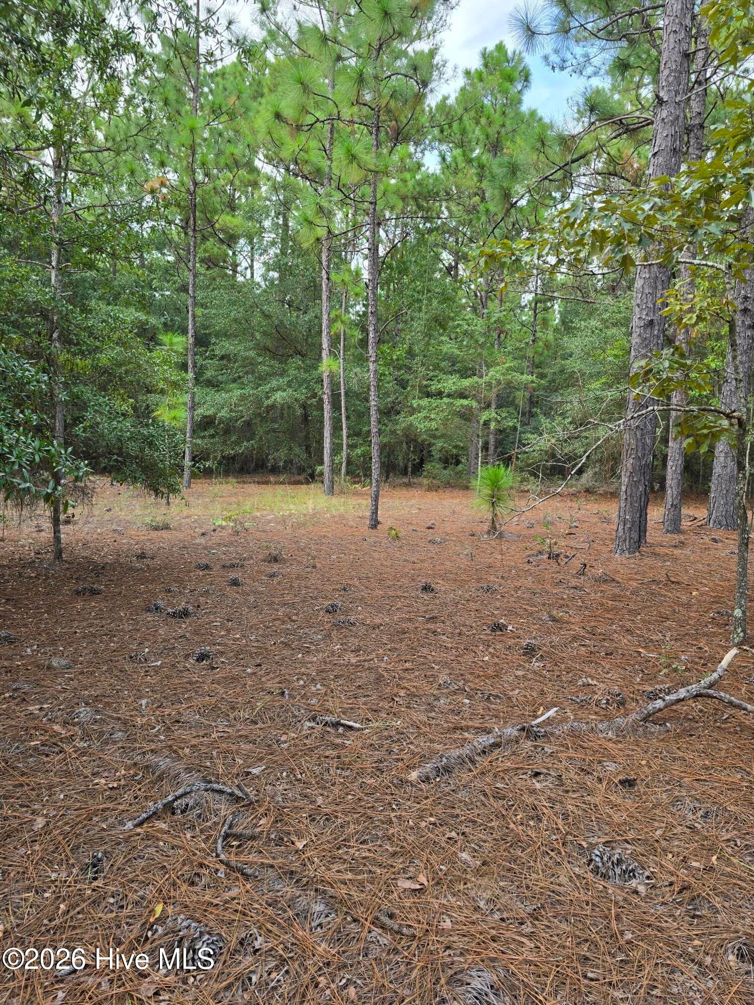 Mixed Use at 317 R J Johnson Road, Allendale, SC 29810, photo 6 of 8