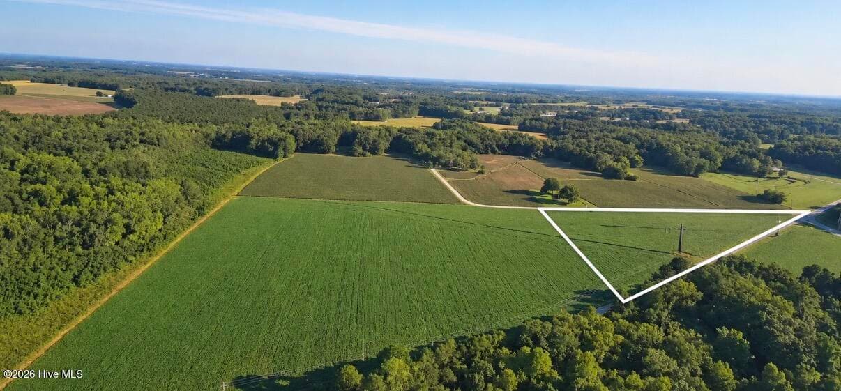 Undeveloped at Lot 5 Red Oak Battleboro Road, Battleboro, NC 27809, photo 2 of 6