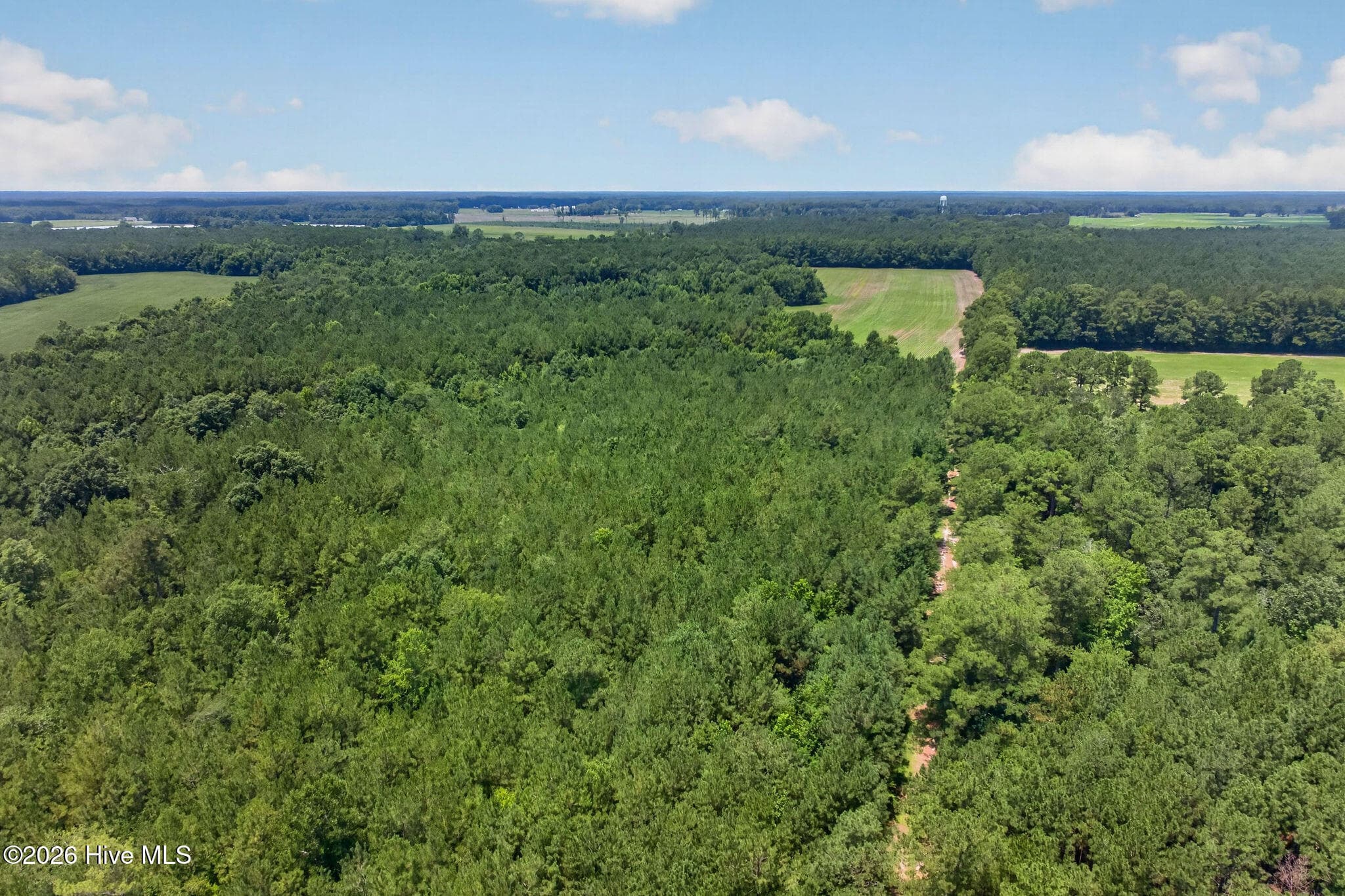 Wooded at 1 Acre Off 2 Laura Hill Drive, Clarkton, NC 28433, photo 10 of 10