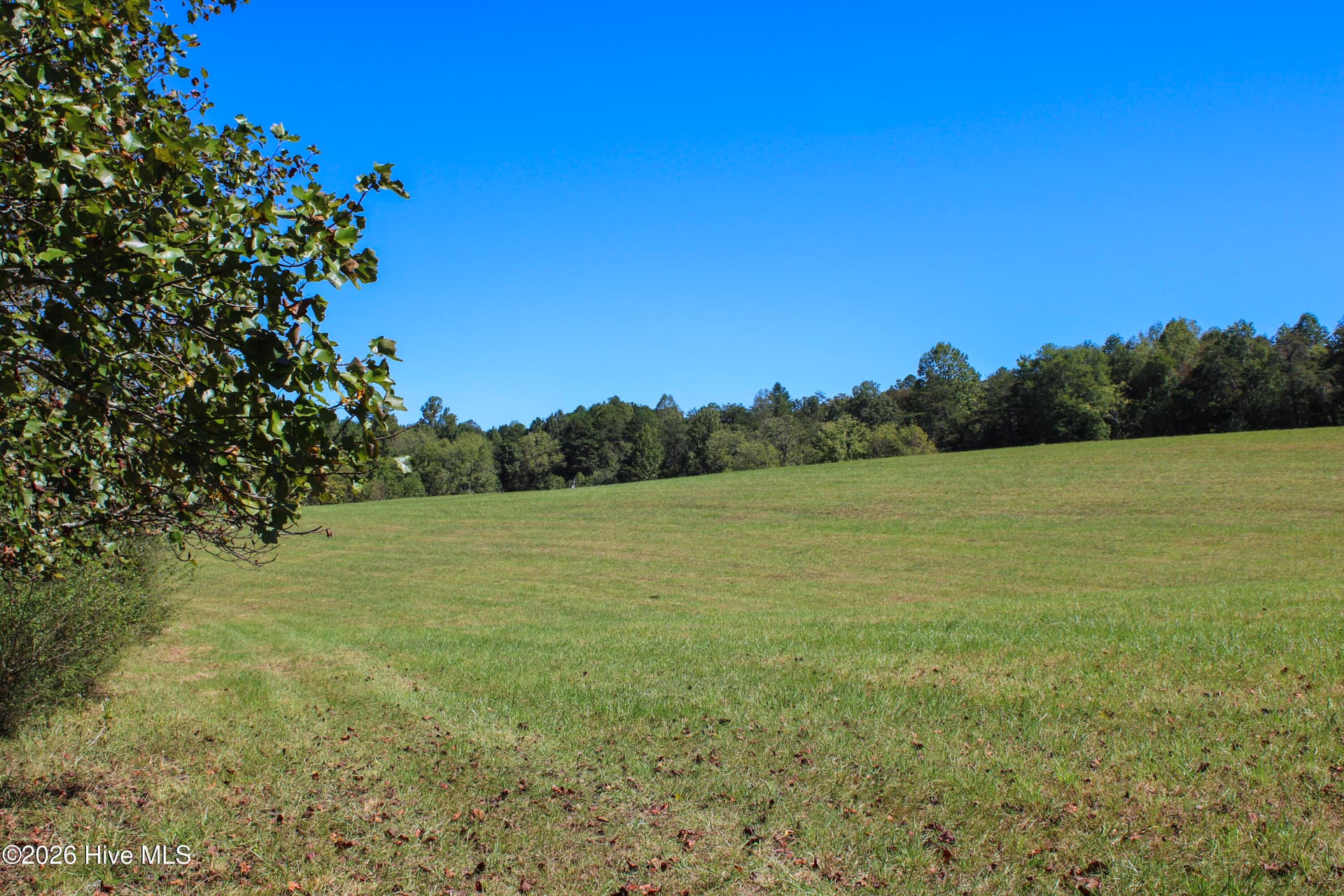 Undeveloped at 00 W Gum Log Road, Warne, NC 28909, photo 2 of 2