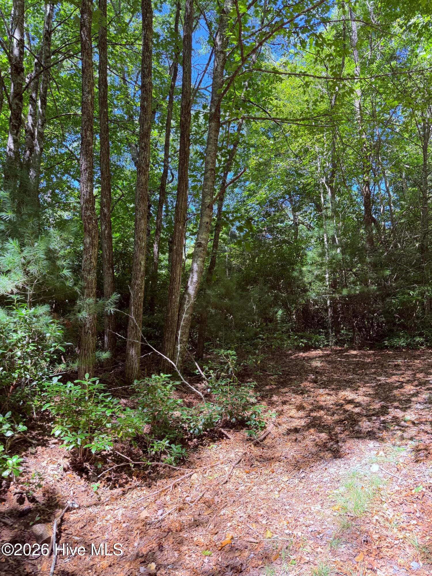 Wooded at Lot 12 Holly Ridge Drive, Topton, NC 28781, photo 3 of 5