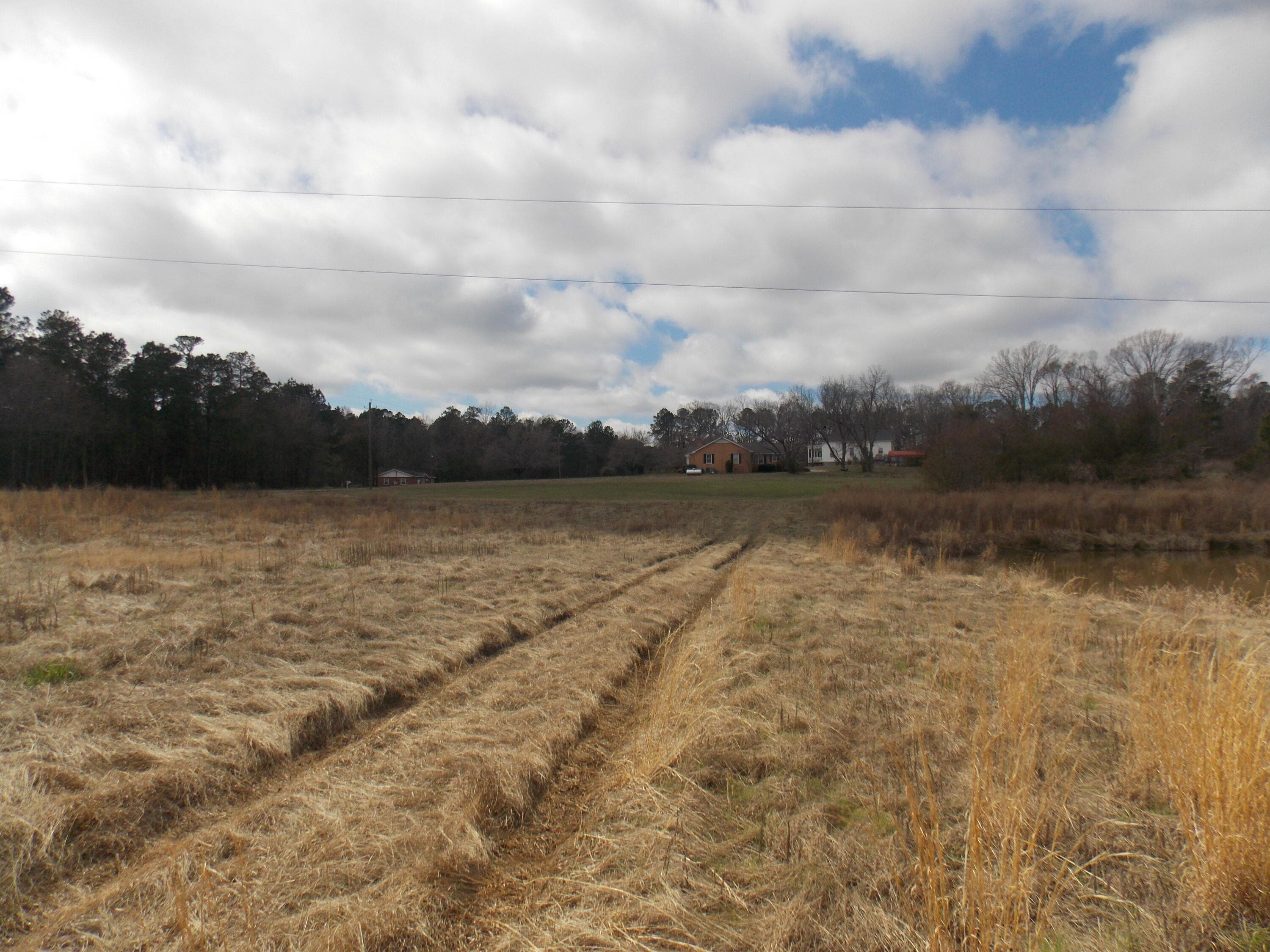 Agriculture at 4232 Double Branches Road, Lincolnton, GA 30817, photo 6 of 16