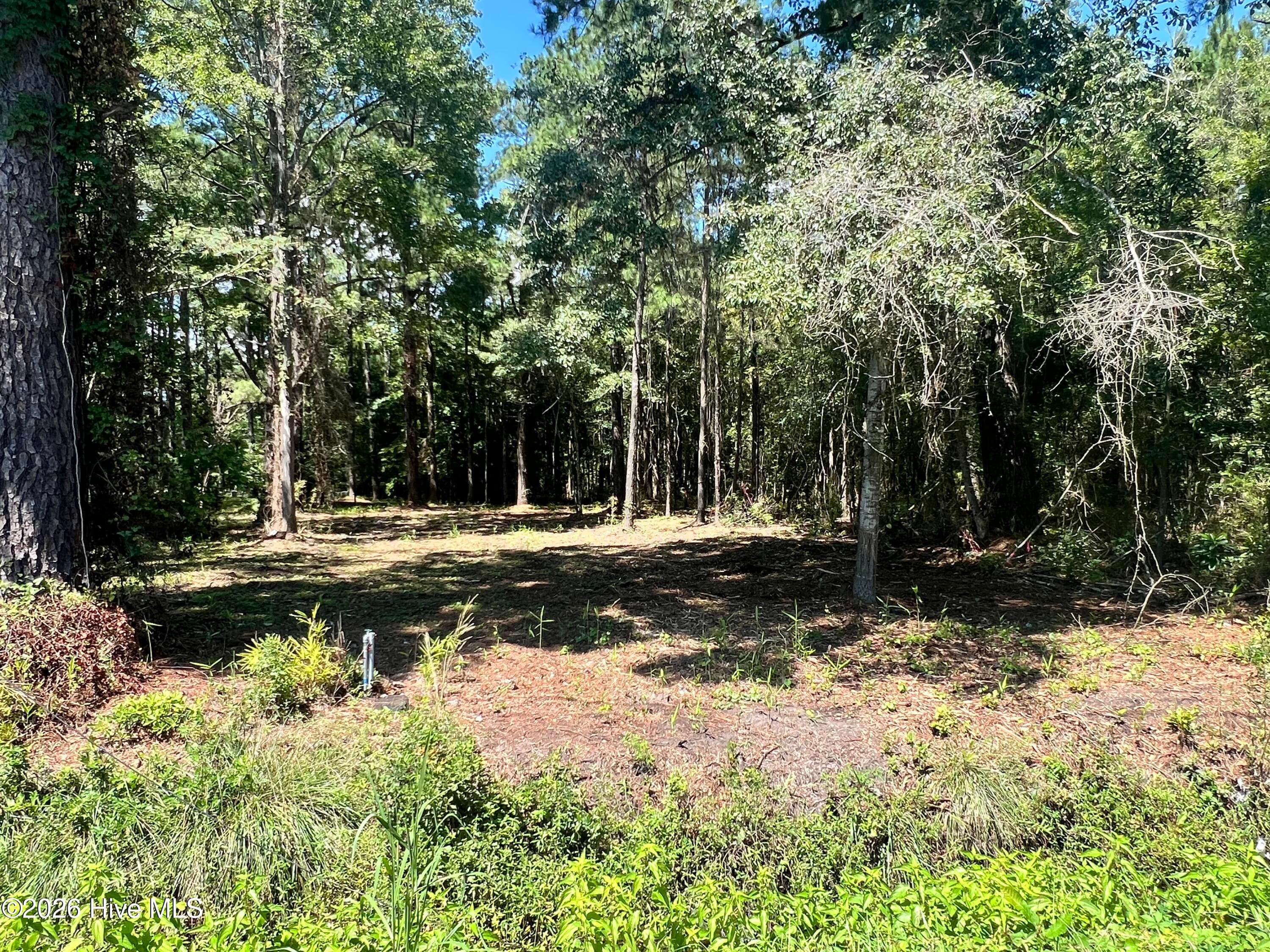 Residential Lot at Lot 4 Elm Street, Belhaven, NC 27810, photo 3 of 6