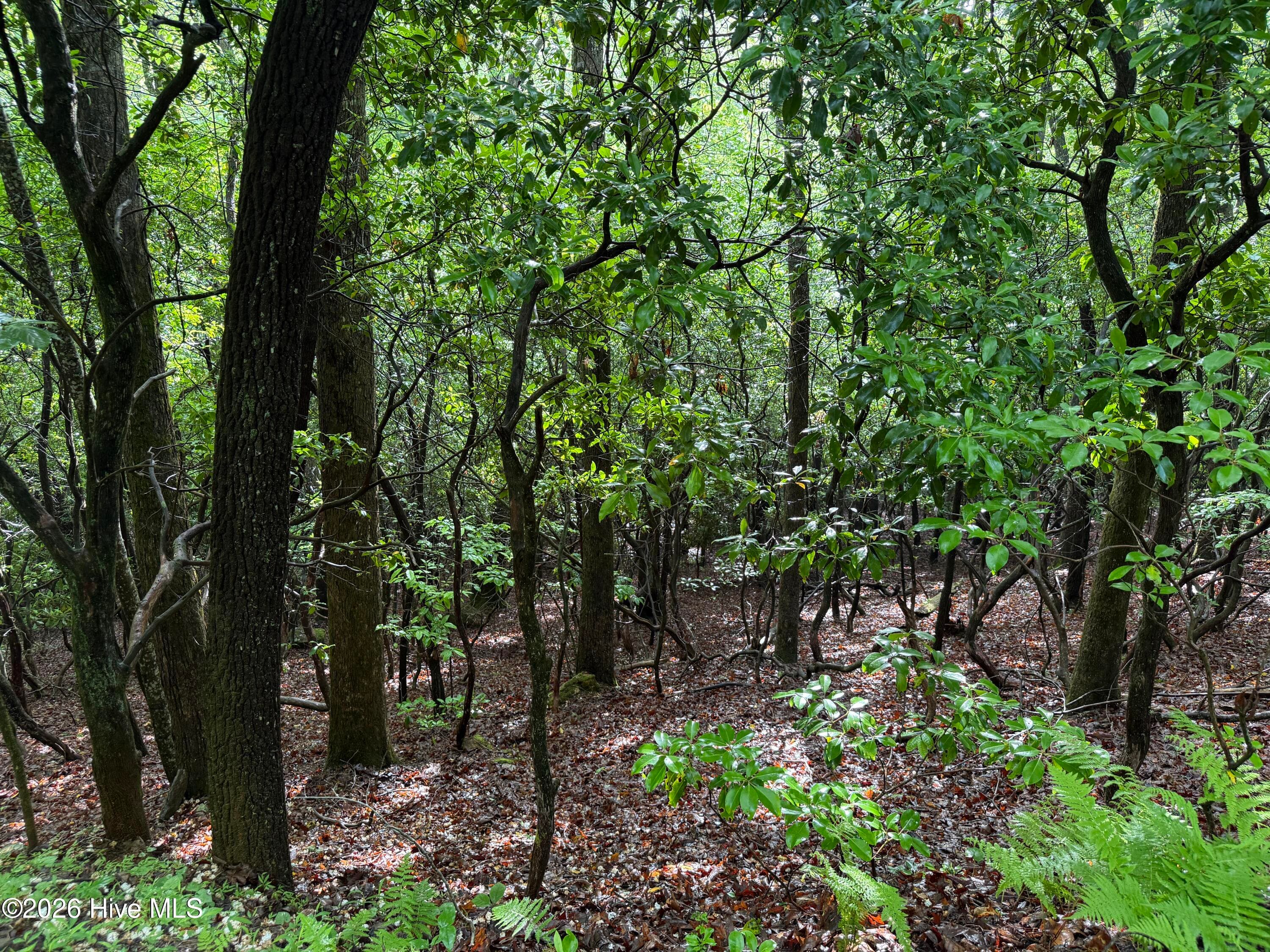 Residential Lot at Lot 28 Atoah Loop, Murphy, NC 28906, photo 7 of 15