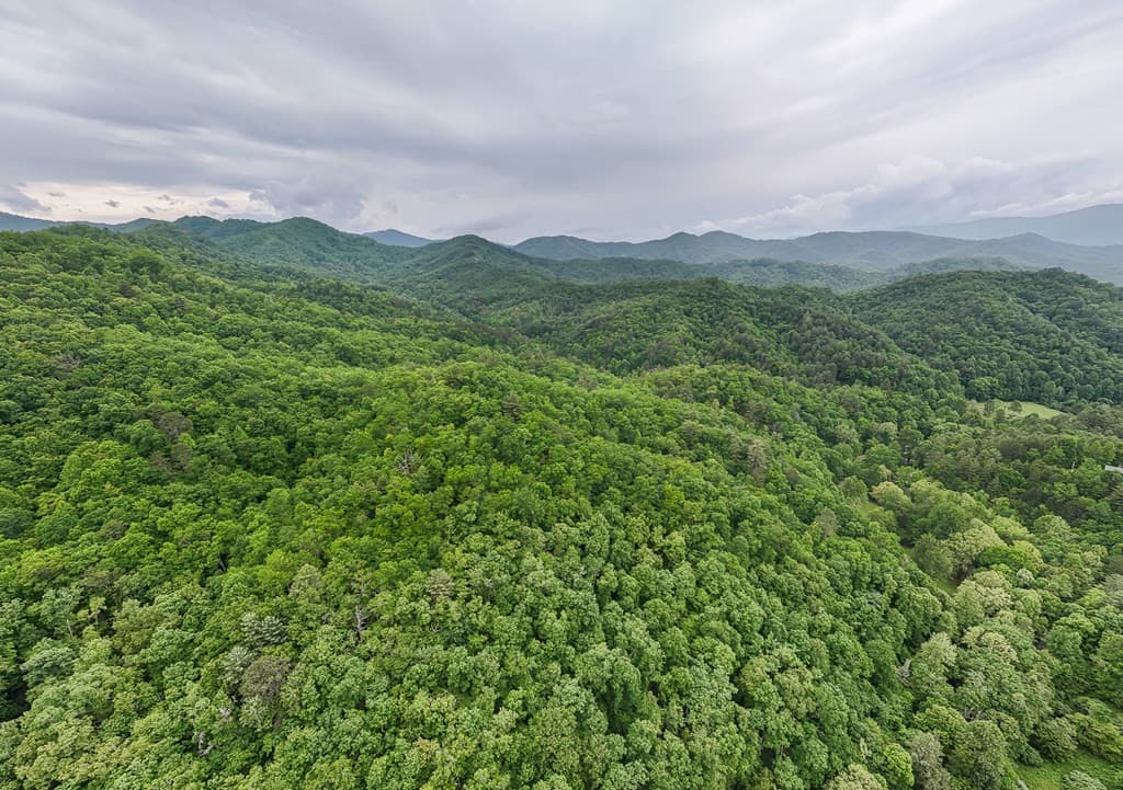 Land at 399 Shell Stand Road, Almond, NC 28702, photo 14 of 21