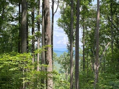 Residential Lot at Lot 1 1 High Country Lane, Morganton, GA 30560, photo 4 of 8