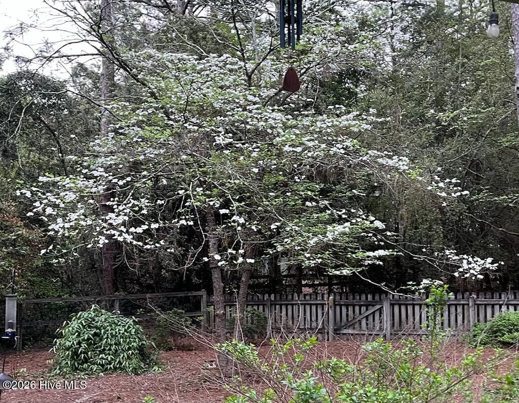 Single Family Residence at 335 Swoope Drive, Southern Pines, NC 28387, photo 4 of 4